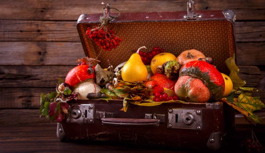 Thanksgiving Autumn still-life.Decorative pumpkins, colorful leaves.